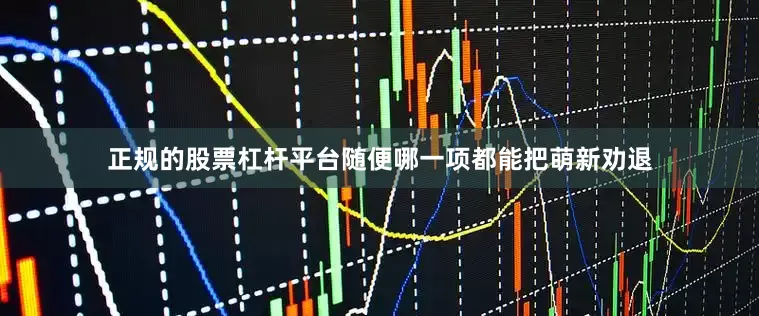 正规的股票杠杆平台随便哪一项都能把萌新劝退